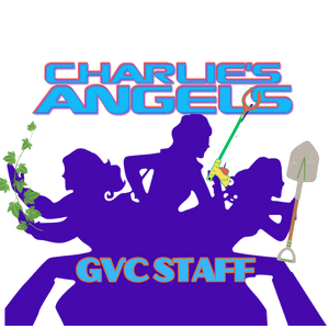 Charlie's Angels